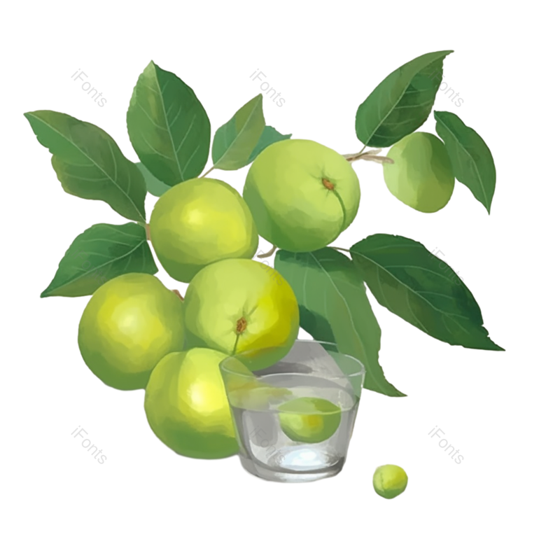 叶子图片,芒种元素,元素PNG,酒杯免抠素材